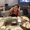 Photo of TheWandering H.