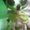 Photo of Qype User (angela…)