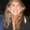 Photo of Linda C.