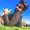 Photo of Anubhav S.