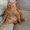 Photo of Annamarie G.