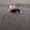 Photo of Desiree S.