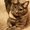 Photo of Sandi L.