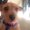 Photo of Maddi M.