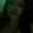 Photo of Rosse M.