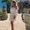 Photo of Aylin A.