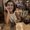 Photo of Cheyanne N.