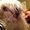 Photo of Joelle B.