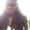 Photo of Lerima G.