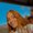 Photo of Veronika R.