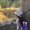 Photo of Linda V.