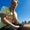 Photo of Shelie B.