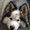 Photo of Qype User (almajo…)