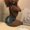 Photo of Kamery L.