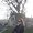 Photo of Stephanie M.