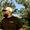 Photo of Dominick H.