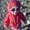 Photo of Zinnia N.