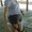 Photo of Tina D.