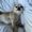 Photo of TenPawsPup P.