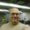 Photo of Ted S.