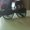 Photo of Anuja V.