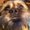 Photo of Debra A.
