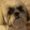 Photo of Bobbie E.
