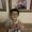 Photo of Jin B.
