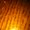 Photo of Fa M.