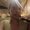 Photo of Stephania J.