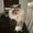Photo of Emmie G.