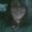 Photo of Liz C.