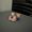 Photo of Areli R.