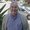 Photo of Randolph H.