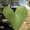 Photo of Lizbeth P.