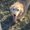 Photo of Piffy B.