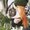 Photo of Jessi M.