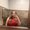 Photo of Stephanie H.
