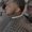 Photo of Savion B.
