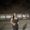 Photo of Avneet K.