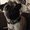 Photo of Cat J.
