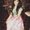 Photo of Farah A.