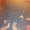 Photo of Mayra J.
