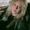 Photo of Olivia R.