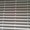 Photo of Alex E.