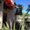 Photo of Donna S.