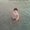 Photo of Soudeh M.