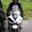 Photo of Spartan Leathers L.