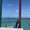 Photo of Andros M.