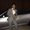 Photo of Thien N.